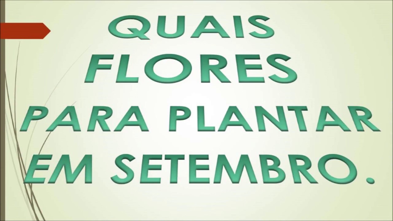 QUAIS FLORES PARA PLANTAR EM SETEMBRO. - thptnganamst.edu.vn