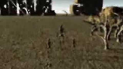 Walking skeletons in 3DS max and vue 6 xstream