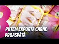 News Show: Putem exporta carne proaspătă /Delapidări de peste 100 de mii de lei /30.04.2024