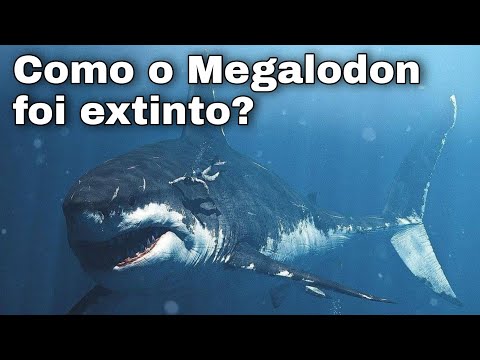 Como o Megalodon foi extinto?