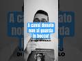 A caval donato non si guarda in bocca!