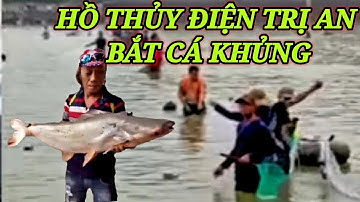Hàng ngàn người bắt cá khủng hồ trị và cái kết không ngờ -trước và sao khi hồ thủy điện ngưng xã lủ