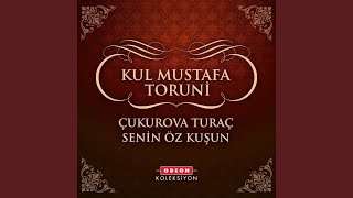 Bir Eksik Değil - Kul Mustafa Toruni