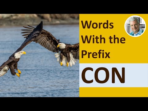 Words With the Prefix CON (6 Illustrated Examples)