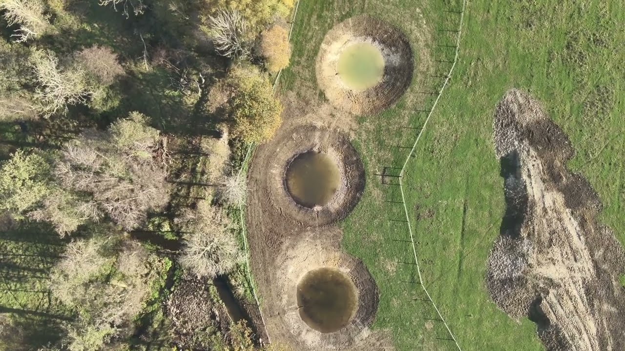 European Pond Turtle Project Update