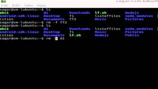 How to force delete a directory in Linux Mint