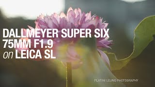 Lotus | Dallmeyer Super Six 75mm 1.9 on Leica SL