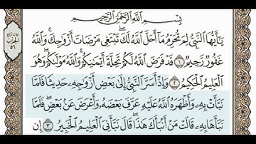 سورة التحريم من الآية 1 إلى الآية 3 مكرر