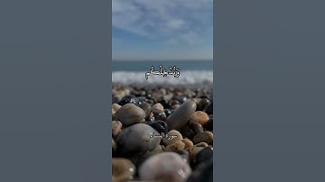 إِن تَجْتَنِبُوا كَبَائِرَ مَا تُنْهَوْنَ عَنْهُ || سورة النساء || علي جابر