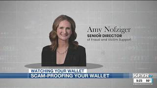 Watching Your Wallet: Scam proof wallet