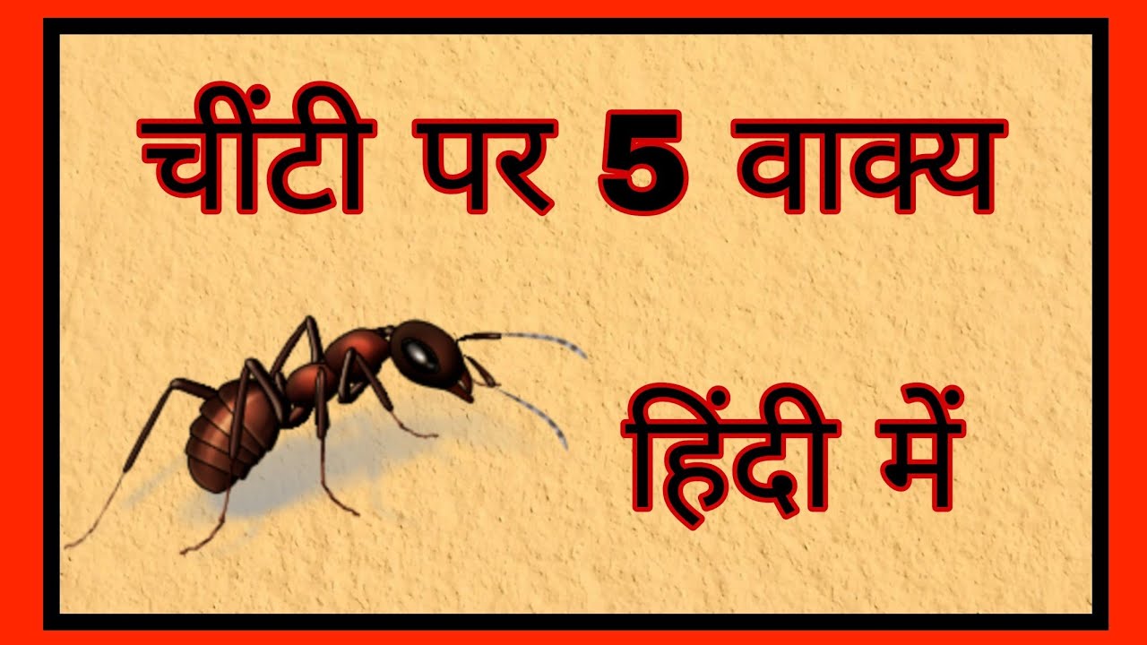 चींटी पर 5 वाक्य हिंदी में Few line on ant in Hindi chinti par 5