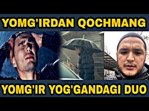 Video: Kuchli yomg'irning xabarchisi. yomg'ir belgilari