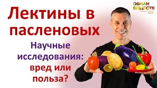 Лектины в пасленовых: наука про их пользу и вред. Безлектиновых диет не существует!