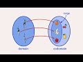 Understanding Functions in Mathematics
