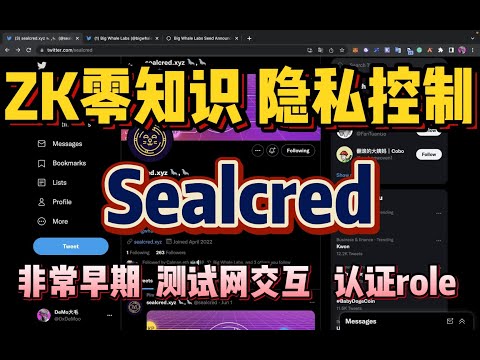 非常早期! ZK账户隐私控制｜Sealcred｜零知识证明通俗解释｜测试网交互 获得认证role