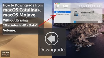 How to Downgrade macOS Catalina to macOS Mojave Without Losing Any Data