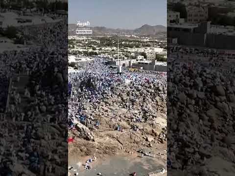 شجرة زيتون عمرها 400 عام تُستخدم لخدمة الحجاج