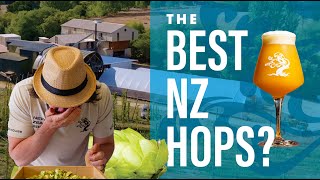 Are these the BEST New Zealand hops? by Tree House Brewing Company 5,414 views 2 days ago 5 minutes, 18 seconds