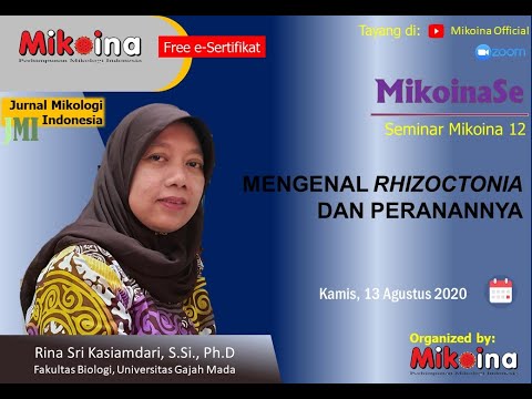 Video: Merawat Rhizoctonia Pada Strawberi – Ketahui Tentang Kulat Rhizoctonia Strawberi