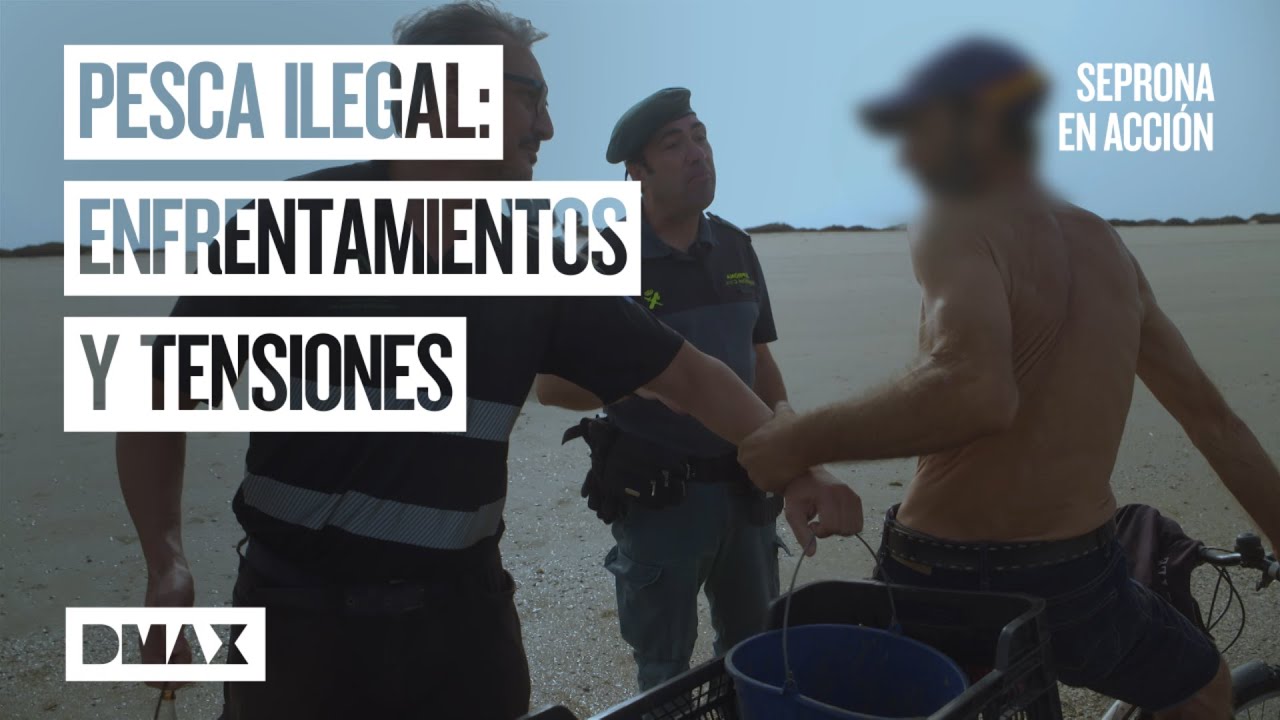 Este es el precio del marisco ilegal | Seprona en acción