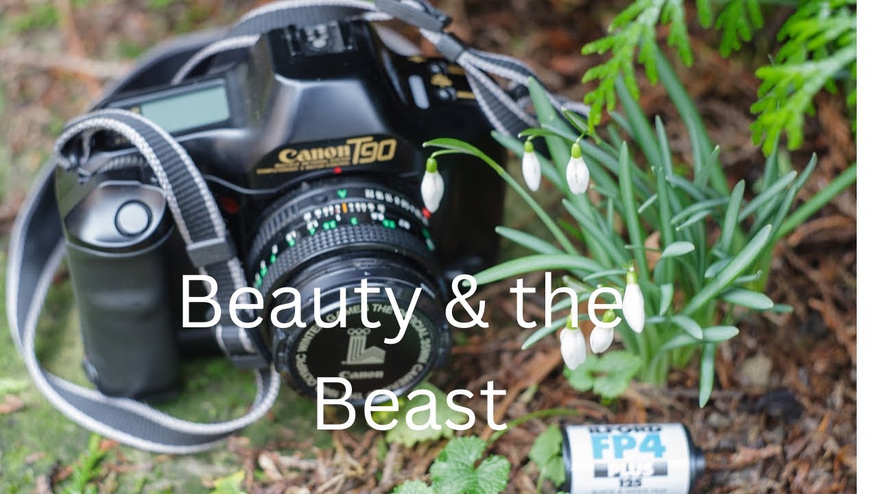 Beauty and the beast - Canon T90 amongst the snowdrops - YouTube