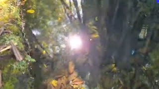 Mustika Manik Banyu Belik Simbak Talesan