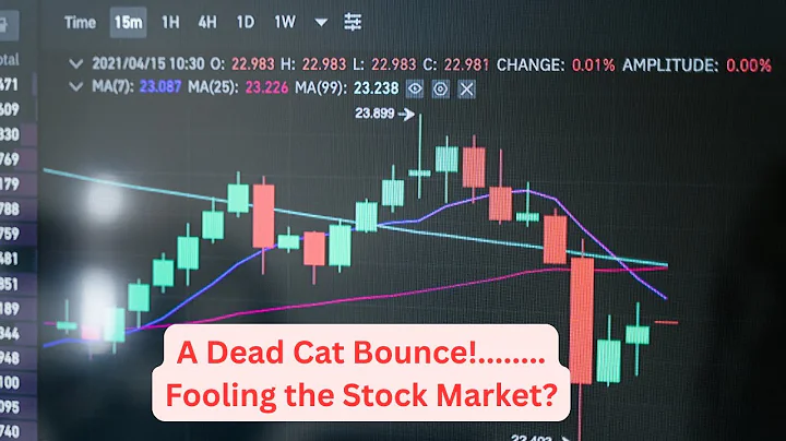 Dead Cat Bounce
