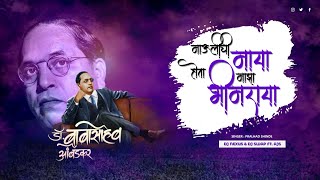 Chandnyachi Chhaya | माऊलीची माया होता माझा भीमराया | DJ Nexus & DJ Swap Ft. AJS