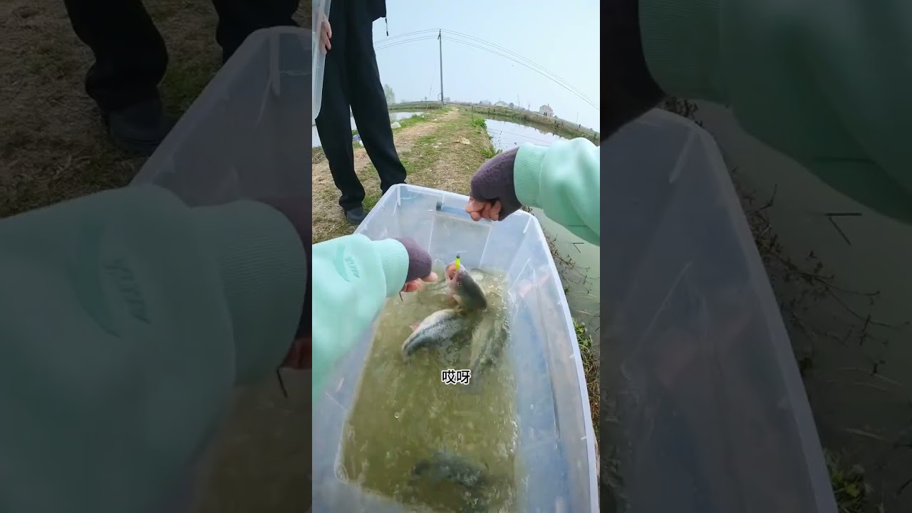 Boost Your Sugarcane Sales with Brother Sugarcane! SugarcaneSuccess