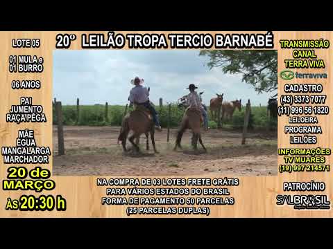 LOTE 05 - 20° LEILÃO TROPA TERCIO BARNABÉ