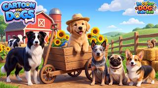 🔴 24/7 Dog TV for Anxious Dogs Home Alone 🐶 Dog Cartoon Video for Dog in color they can see screenshot 5