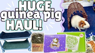 HUGE $500 GUINEA PIG HAUL! | The Pig Room, Chewy, SPS, and more!