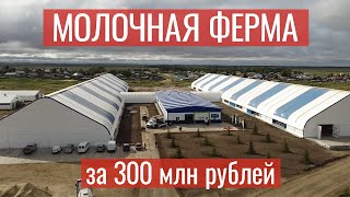 300 миллионов за ферму // Новосибирская область