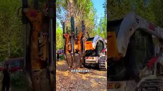 这机器抱树像抱娃,带你了解 树铲机 #科普 #知识 #冷知识 #漲知識 #百科密码
