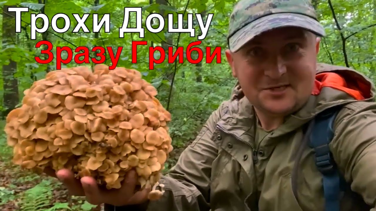 Це Вже Тягне на РЕКОРД.. Третій Раз за Декілька Днів… Знову Вони!! Після Дощу за Грибами