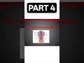 THE CARDIOVASCULAR SYSTEM🫀 | EASY LEARN PHARMACY🔴 | #pharmacist #shorts #short