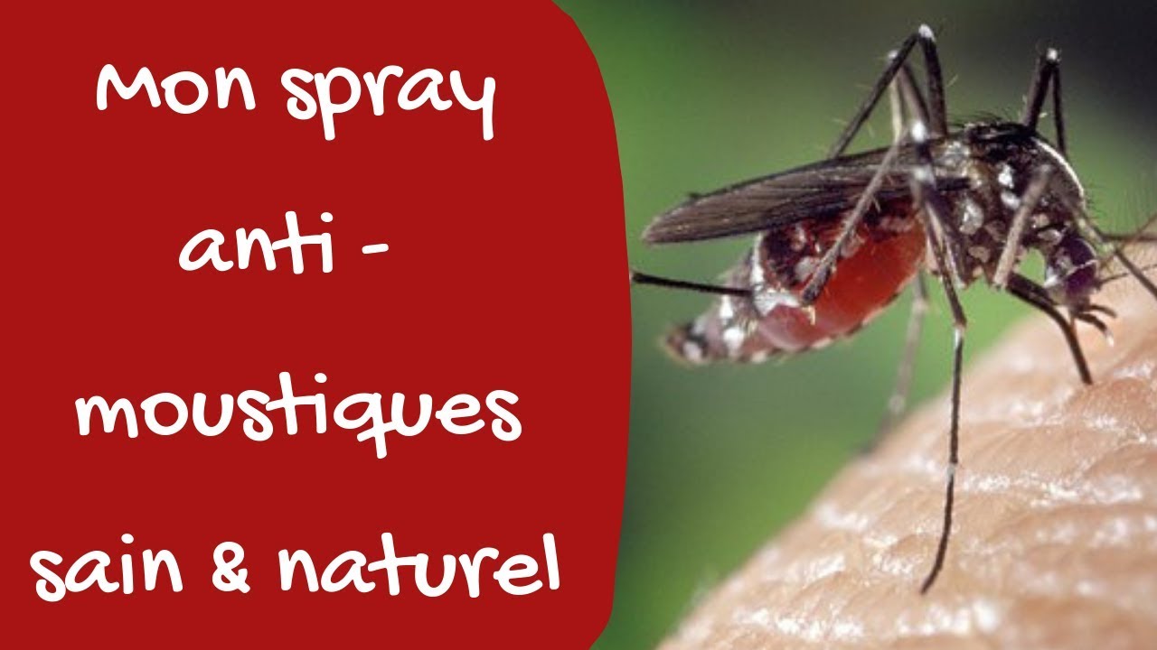 Recette DIY: réalisez votre spray répulsif anti-moustique
