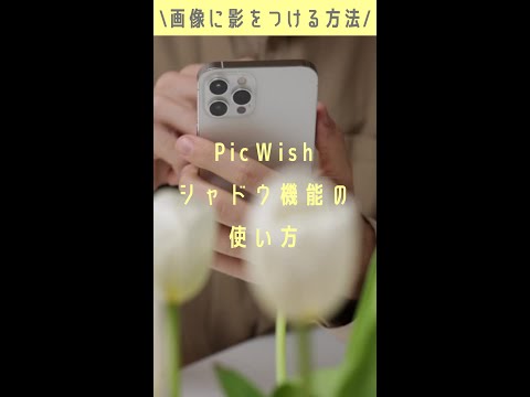 画像に影を付ける方法|一緒にPicWishのシャドウ機能を体験しましょう！