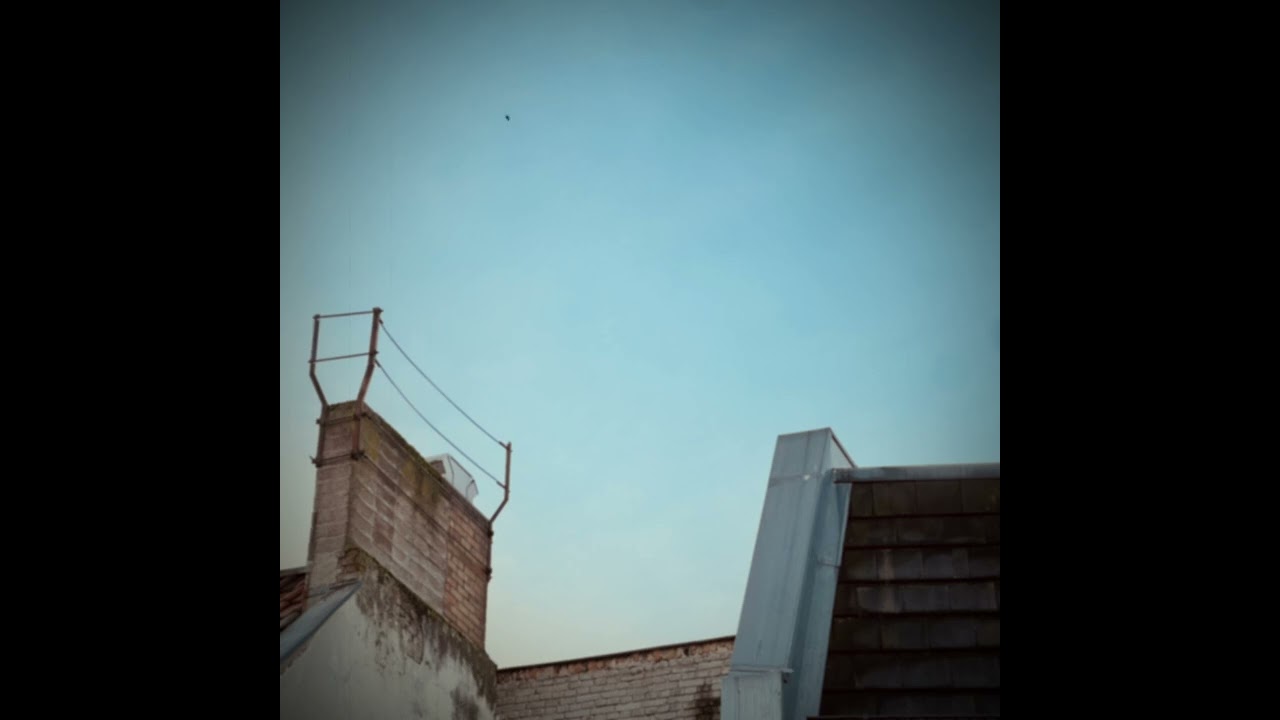 Watch Jan Hertz - Nu on YouTube Watch Jan Hertz - Nu on YouTube