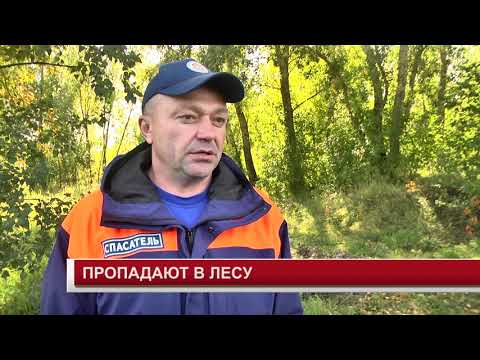 ПРОПАДАЮТ В ЛЕСУ