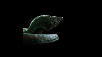 Leech Creature - Blender Animation and rotation