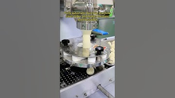 Fully automatic bun arranging machine#meat bun#vegetable bun#dumpling machine#automatic bun maker