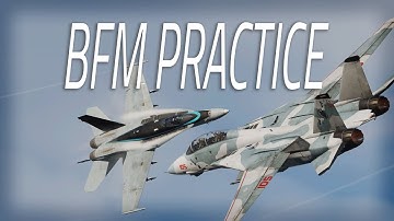 DCS DOGFIGHT PRACTICE AGAINST A F14