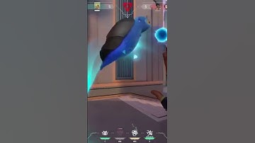 Gekko 1v5 Ace #shorts #gekkovalorant #valorant