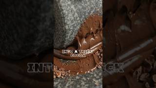 The Secret Process Behind Chocolate 🍫/ The Procedure #documentary #factory #howitsmade