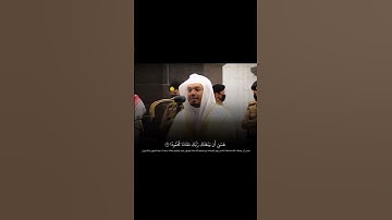 ياسر الدوسري تلاوة جميلة #اكسبلور #المصحف #القران #لايك