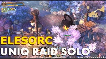 TOS] EleSorc Unique Raid Solo Rush