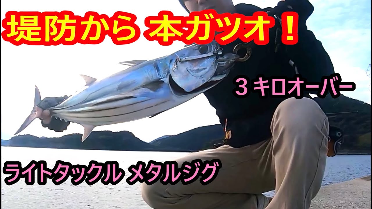 奇跡 本ガツオが堤防から釣れたから食べた 旨い ジギングフルモン92 Youtube 奇跡 本ガツオが堤防から釣れたから食べた 旨い ジギングフルモン92 Youtube