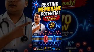 Introduction to Resting Membrane Potential #risingphysiopathshala #physiotherapist #medicaleducation