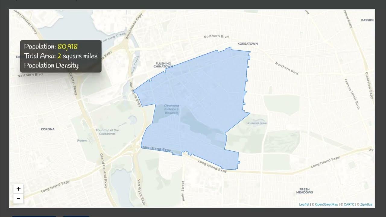 Zip Code 11355 (NY) Social & Economic Profile YouTube